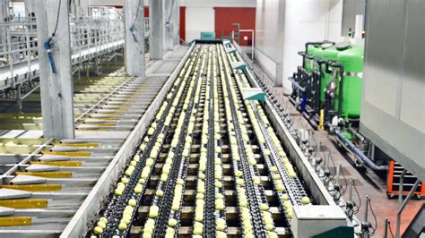 Image result for Operational Process Food