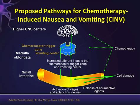 Afbeeldingsresultaten voor Chemo Nausea