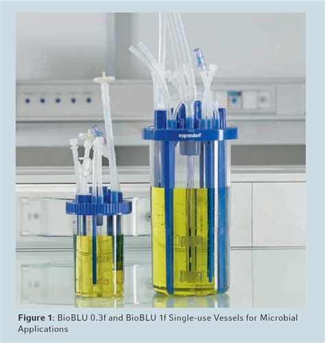 Image result for E. Coli Fermentor