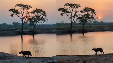 Image result for Negative Framing Examples