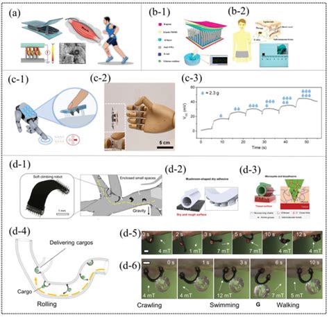 Nano Array-साठीचा प्रतिमा निकाल