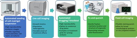 Toradh íomhá ar High-Throughput Screening Cell