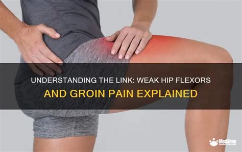 Weak Groin に対する画像結果