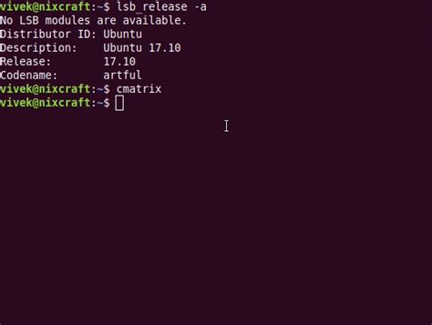 Image result for Linux Console Matrix