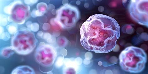 Toradh íomhá ar Cancer Cell Visualization