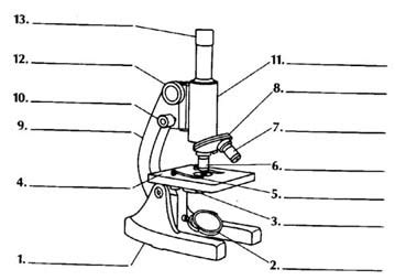 Image result for Non Labelled Compound Light Microscope