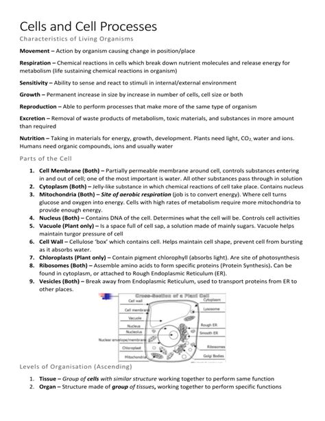 Afbeeldingsresultaten voor Cell Processes