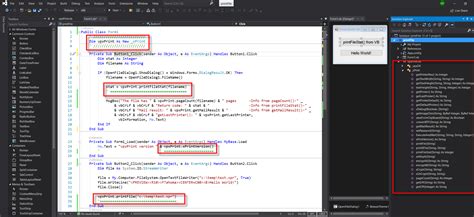 Toradh íomhá ar Visual Studio VB Examples