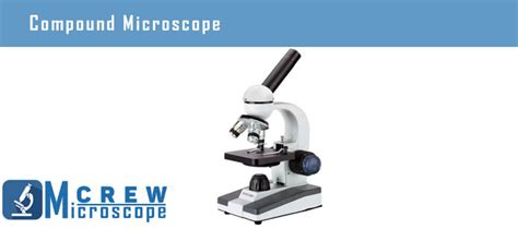 Image result for Features of a Compound Microscope