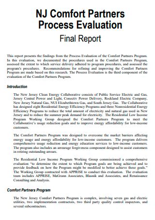 Image result for Process Development Report