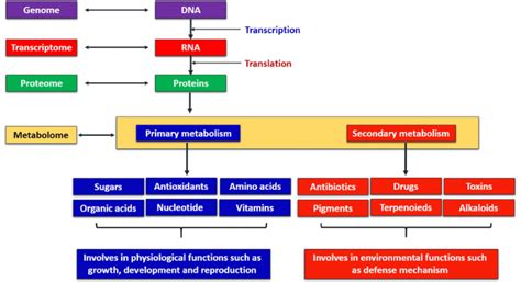Image result for Genome vs Transcriptome