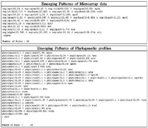 Image result for Microarray Data Patterns