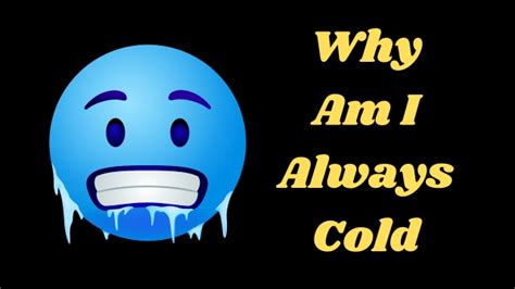 Image result for Why AM I Always Cold