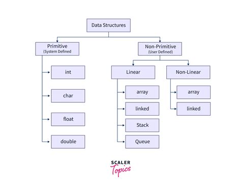Image result for Data Structure Freecodecamp