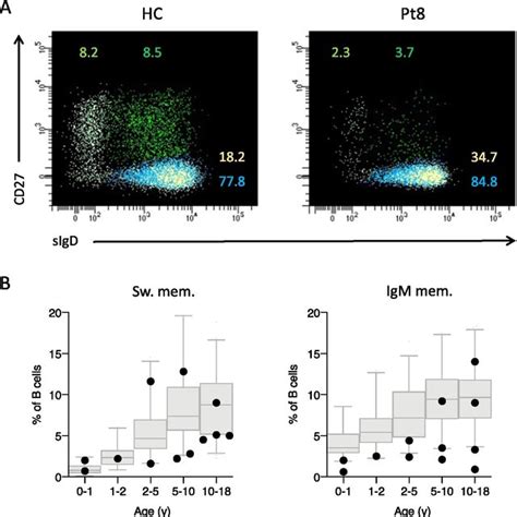 Toradh íomhá ar B-cell Subset Flow Cytometry Panel