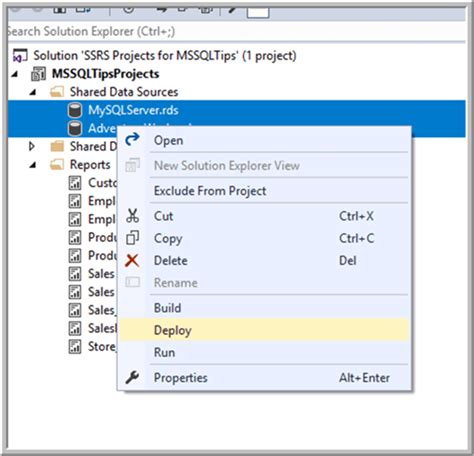 SQL Report Server Data Source に対する画像結果