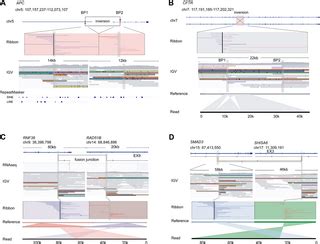 Toradh íomhá ar Structural Variation