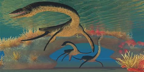 Image result for Nessie Pleosaurus