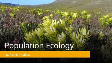 Image result for Exponential Growth Environmental Science