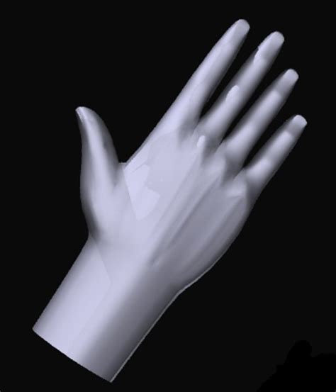 3D Hand Autodesk に対する画像結果