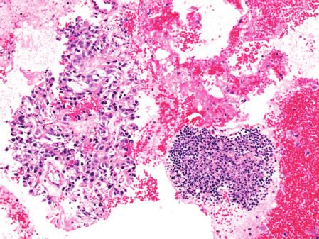 Image result for Cell Block H 32