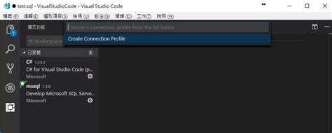 Using SQL Server in vs Code に対する画像結果
