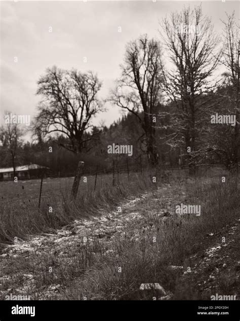 Image result for Road Stops