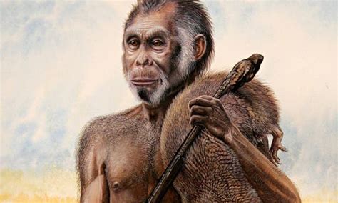 Toradh íomhá ar Evolution Tree Homosapien