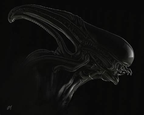 Xenomorph Texture に対する画像結果