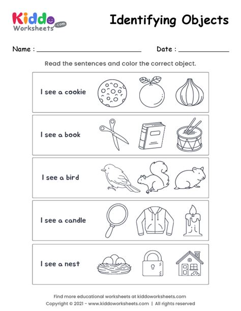 Classifying Items Worksheet に対する画像結果