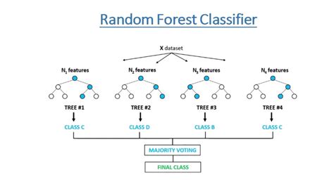 Afbeeldingsresultaten voor Random Forest Algorithm PNG