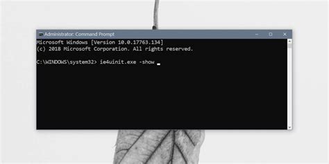 Image result for Delete Icon Cache
