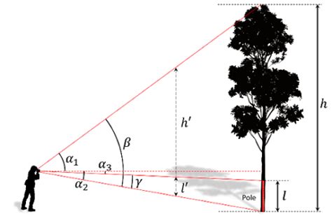 Image result for Trigonometry Step by Step