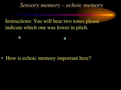 Image result for Example of Echoic Memory