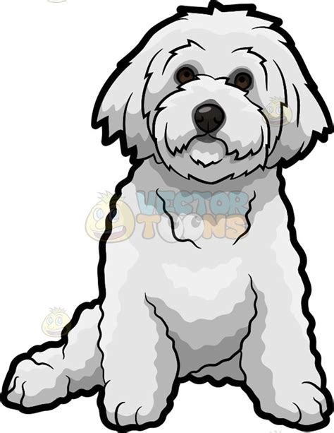 Toradh íomhá ar Bichon Drawing
