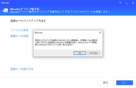 Image result for Manager BitLocker Windows 1.0