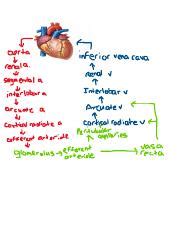 Image result for Heart Symbol Cipher Decoder