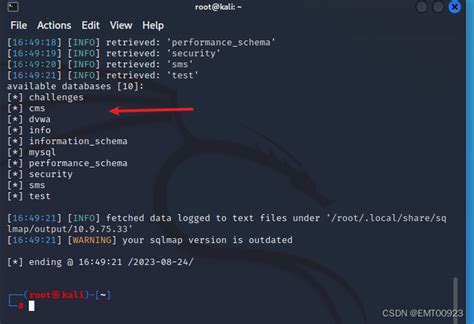 Sqlmap Example 的图像结果