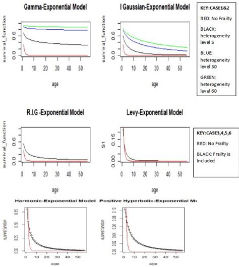 Exponential Model Canvas に対する画像結果