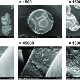 Image result for Microscope Protein Particle
