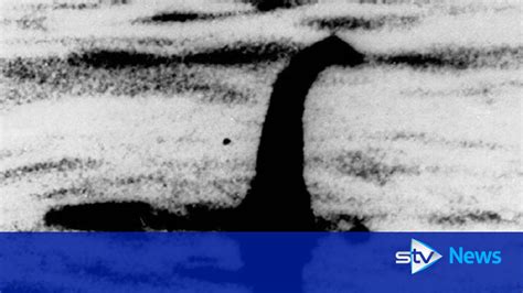 Image result for Nessie Pleosaurus