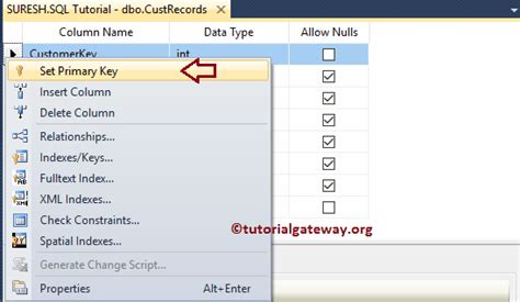 How to Set Primary Key Query に対する画像結果