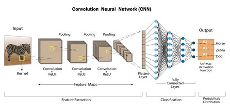 Image result for Simple Convolutional Neural Network
