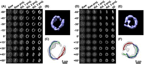Afbeeldingsresultaten voor Electron Microscope View of Atom