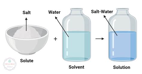 Toradh íomhá ar Solution vs Solvent