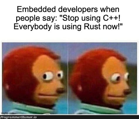 Afbeeldingsresultaten voor Rust Language Meme