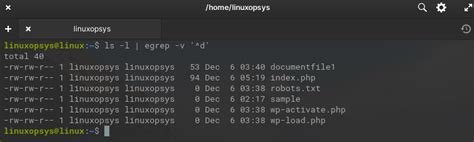 Toradh íomhá ar Color of File Xtenison of Linux LS Output