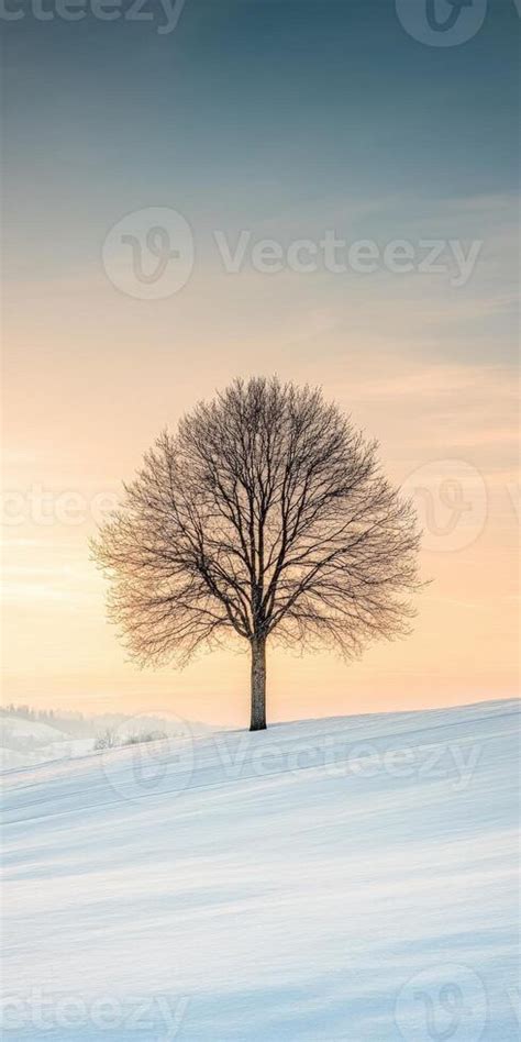 Image result for Tree Portrait Full Photo