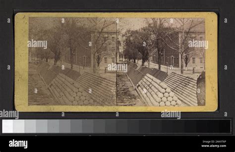 Turtle's Shell Pyramids に対する画像結果