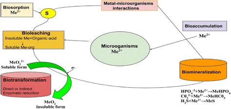Microbial Process Optimization に対する画像結果